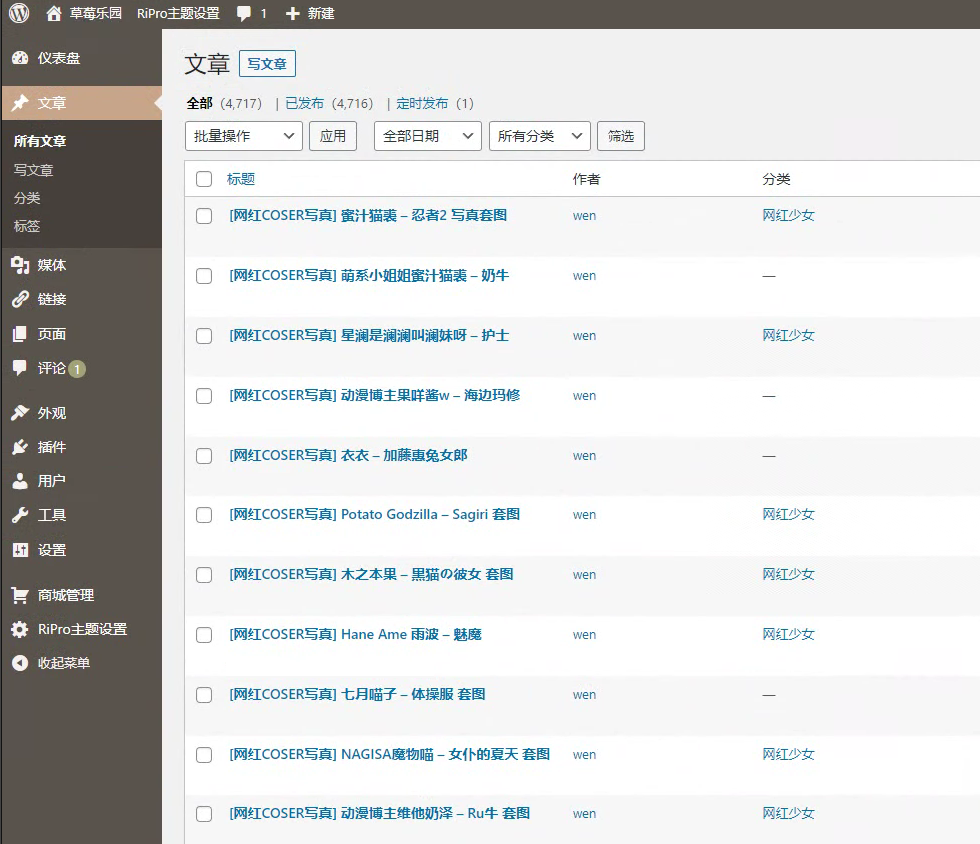 亲测可用【精品整站】WordPress自适应美女写真网站源码/美图整站源码带数据/安装即可运营