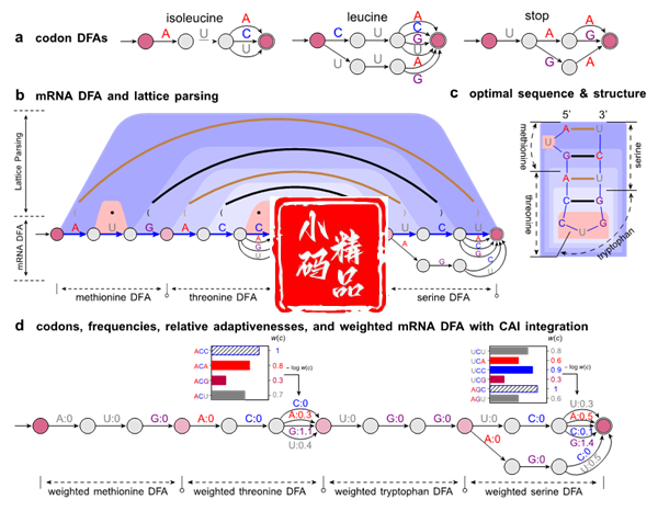 1740211773-2f902f3aae25362 1740211773-2f902f3aae25362