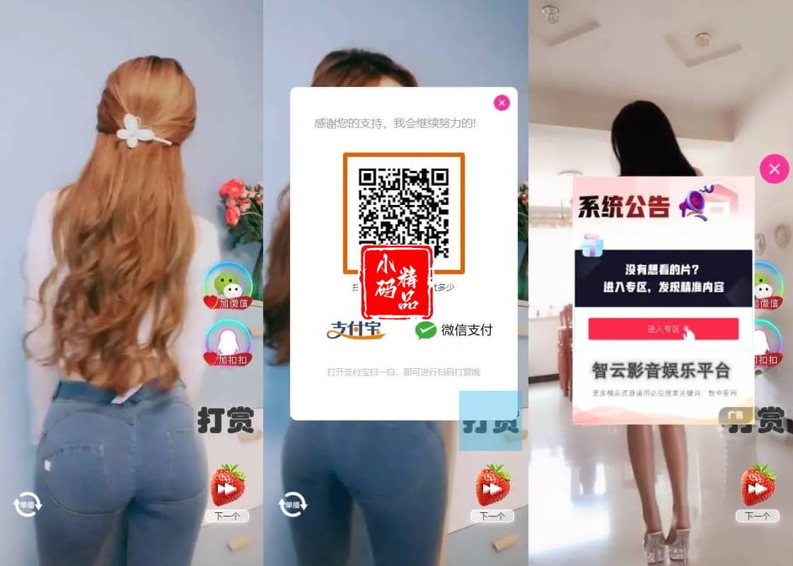 H5随机短视频滑动版带打赏源码，可封装APP软件或嵌入式观看，