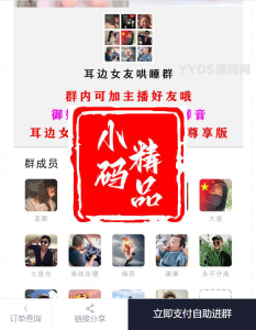 小储云商城付费进群模板无加密